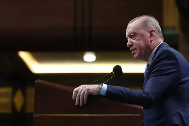 Cumhurbaşkanı Erdoğan: Karadeniz'deki gemilerin vurulması endişe verici