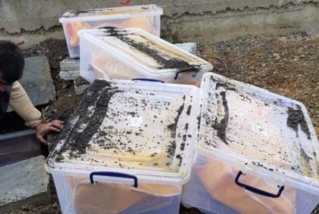 PKK'nın gizli mezarlığı ortaya çıkarıldı! Tamı tamına 261 kişiyi gömmüşler