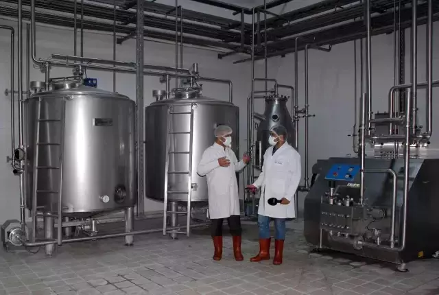 Sivas'ta üretilen mozzarella peyniri 18 ülkede pizzaları lezzetlendiriyor