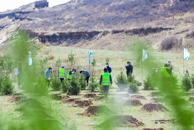Çin'in İç Moğolistan Özerk Bölgesi Ağaçlandırma Projesine 14 Milyon Dolarlık Fon Oluşturacak