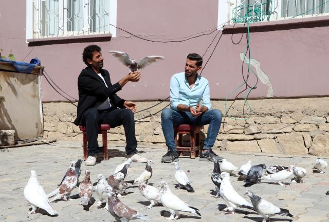 Havada 9 saat kalabilen güvercinler, kardeşlere yarışmada birincilik getirdi