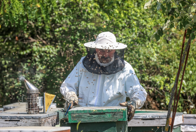 Bursa'da 4 arkadaş eşleriyle ürettikleri arı sütünü yurdun dört bir yanına gönderiyor