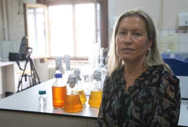 Marmara Denizi'ndeki balıklarla ilgili çarpıcı araştırma! İlk gelen veriler uzmanları telaşlandırdı