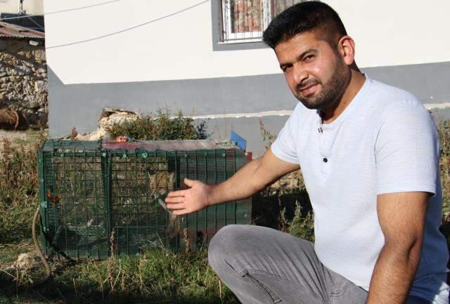 Kümes sahibinin tavuklarını öldüren tilkiye yaptığı herkesten alkış aldı