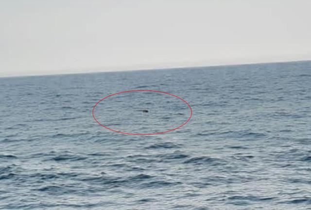 İğneada açıklarındaki mayını fark eden balıkçı: Çarpmamıza 200 metre kala fark ettik