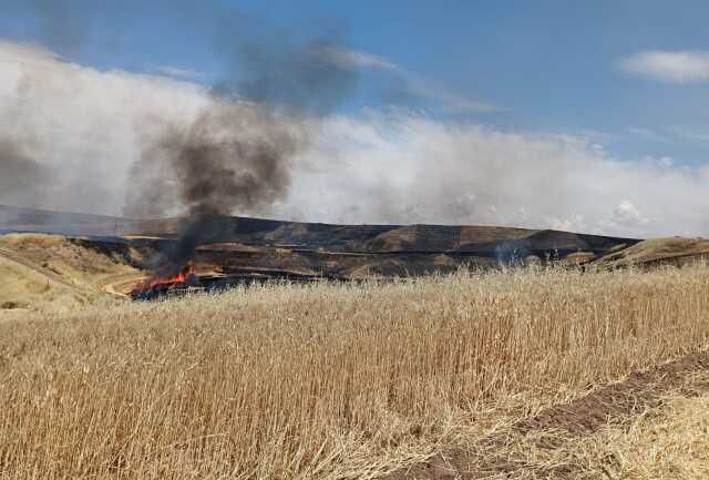 Son Dakika! Diyarbakır'da arazi kavgası: 8 ölü, 3 yaralı