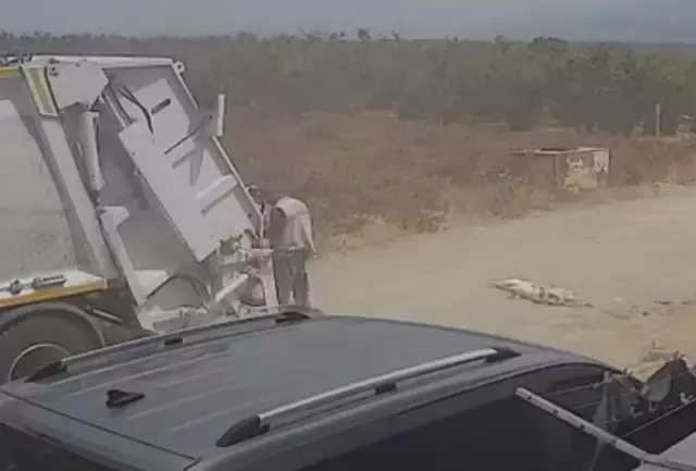 Ezerek telef olan köpekleri çöp kamyonuna atıp götürdüler