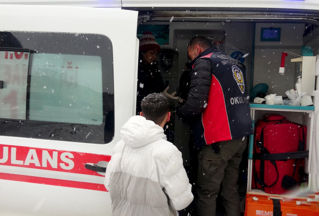 Okul bahçesine giren kurt köpeği öğrencilere saldırdı; 3 yaralı