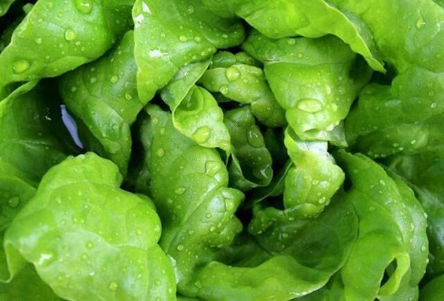 Rüyada marul görmek ne demektir? Rüyada marul görmek ne anlama gelir?