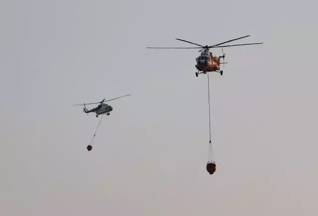 15 saatlik yoğun çaba sonuç verdi! Aydın'daki orman yangını kontrol altına alındı