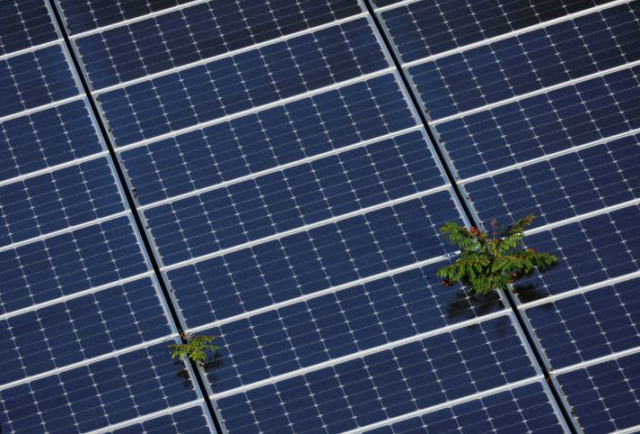 Çin'den tehlikeli hamle: Batı'ya sattığı güneş panellerine gizli 'Öldürme Düğmesi' yerleştirdi