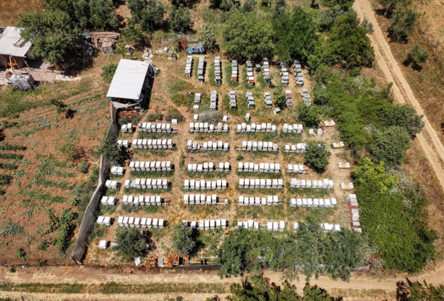 Bursa'da 4 arkadaş eşleriyle ürettikleri arı sütünü yurdun dört bir yanına gönderiyor