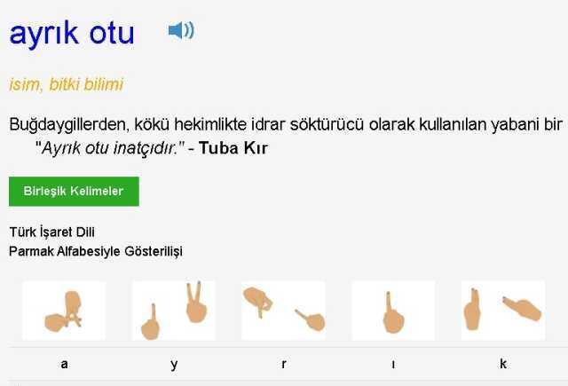 ('Ayrık otu ve eğrelti otu yenmez ama çörek otu, semizotu..) Kim Milyoner Olmak İster 1 Ağustos Sorusu Cevabı Nedir? 200 Bin TL'lik soru ve cevabı ne?