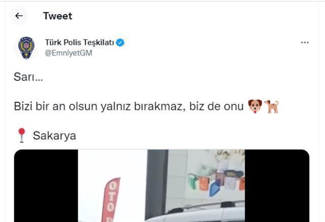Türk Polis Teşkilatı yine yürekleri ısıttı! Sakarya'dan gelen manzarayı görenler duygulanıyor