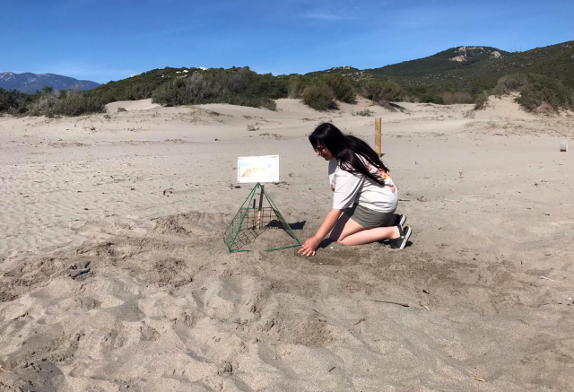 Akdeniz'de bu sahillere girenler 557 bin lira ceza ödeyecek