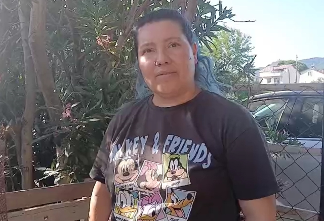 Denize giren kazlar CİMER'e şikayet edildi, kümese kapatılınca 8'i öldü