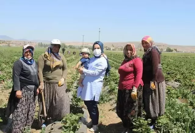 Kaymakam Elif, 20 bin nüfuslu ilçede kooperatif kurarak 55 kadını iş sahibi yaptı