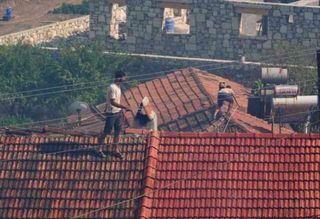 İzmir'in 5 ilçesinde orman yangını! Bakan Yumaklı bölgeye gidiyor