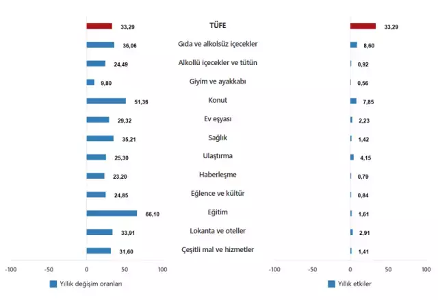Gıda ve ulaştırma gruplarının enflasyona etkisi