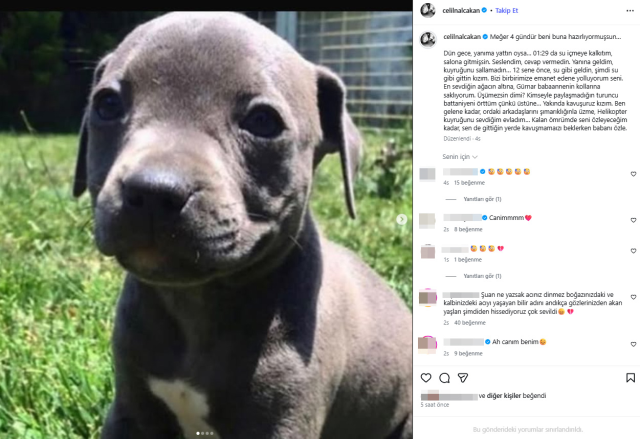 عکس جلیل نالچاکان و سگش رودین