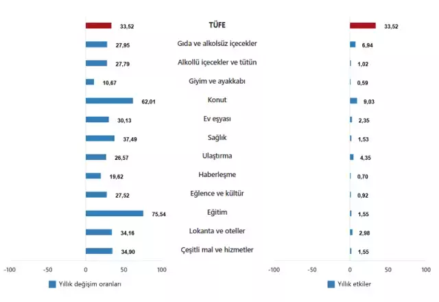 Enflasyon temmuz ayında yüzde 2,06 arttı, yıllık bazda yüzde 33,52 oldu