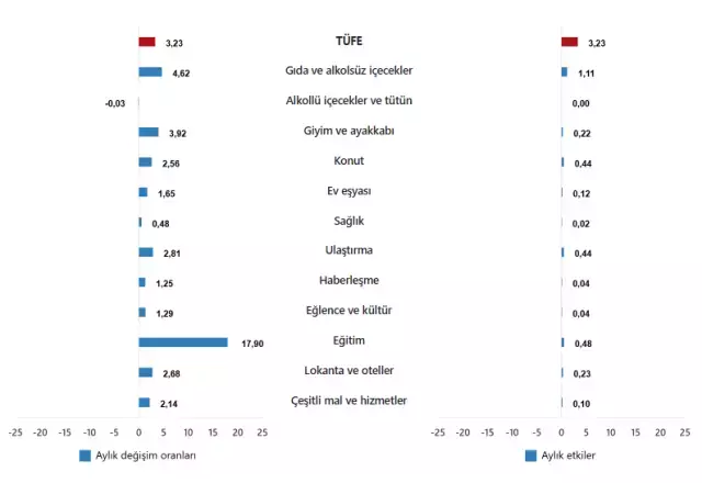 Aylık enflasyon artışları