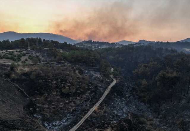 Bakan Yumaklı'dan yangında mücadele eden kahramanlara övgü
