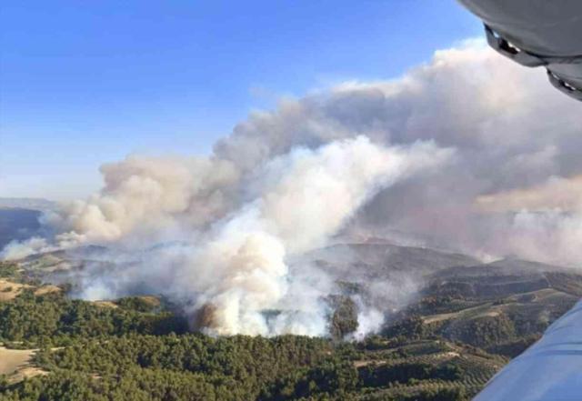 4 ilde orman yangını! Ekipler zamana karşı yarışıyor