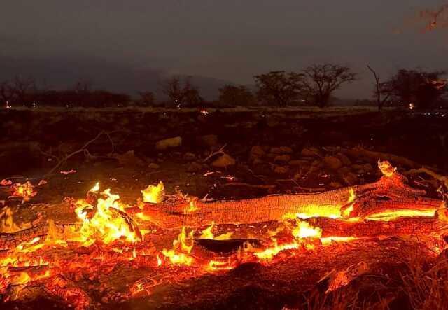 ABD Başkanı Biden eleştiriler üzerine yangın felaketi ile sarsılan Hawii'yi en kısa sürede ziyaret edeceğini söyledi