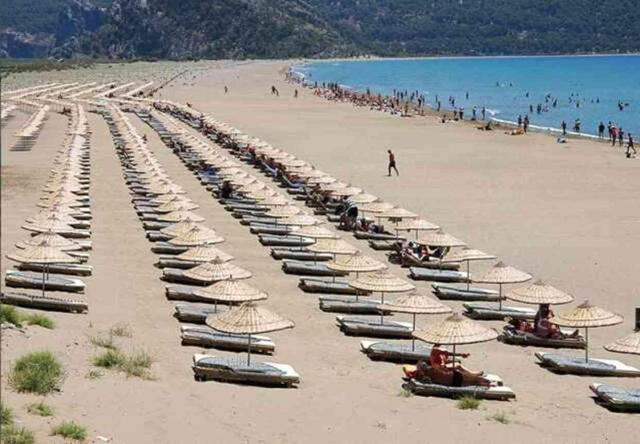 İztuzu plajı nerede? Dalyan İztuzu Plajı'nda neler yapılır?