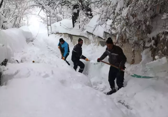 Bitlis'te kar kalınlığı trafik lambalarına kadar ulaştı