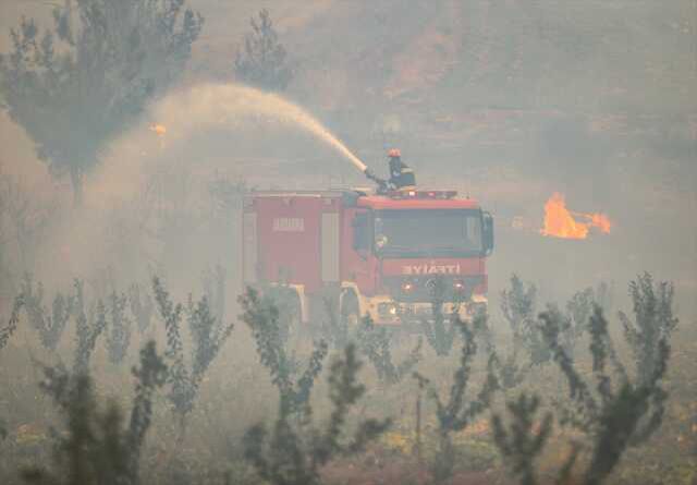 Cumhurbaşkanı Erdoğan'dan Çanakkale'deki orman yangına ilişkin açıklama: Yayılması durduruldu