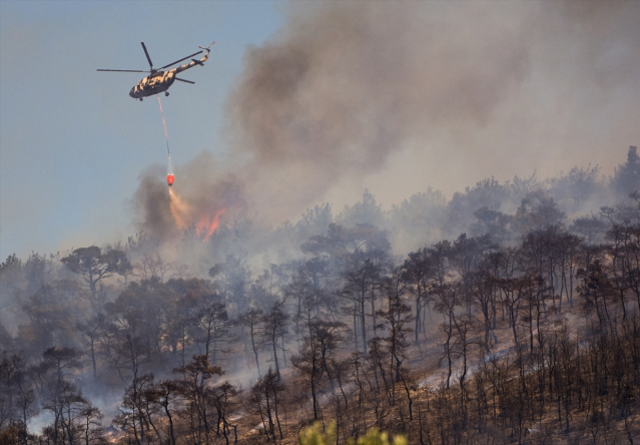 İzmir'de orman yangını yerleşim yerine kadar ulaştı