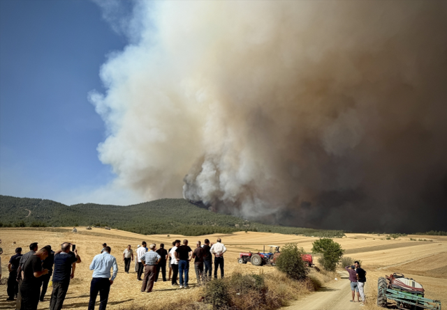 Sakarya'da dün başlayan orman yangını Bilecik'e sıçradı