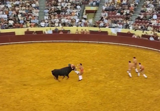 Boğa güreşçisi boynuz darbesiyle hayatını kaybetti, seyirci kalp krizi geçirdi