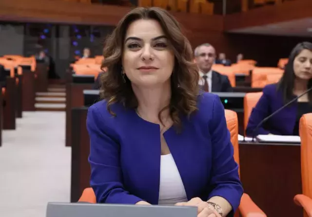 DEM Parti İmralı görüşmesi hazırlıkları