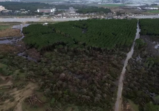 Antalya'da hortumun zarar verdiği ormanlık alan havadan görüntülendi