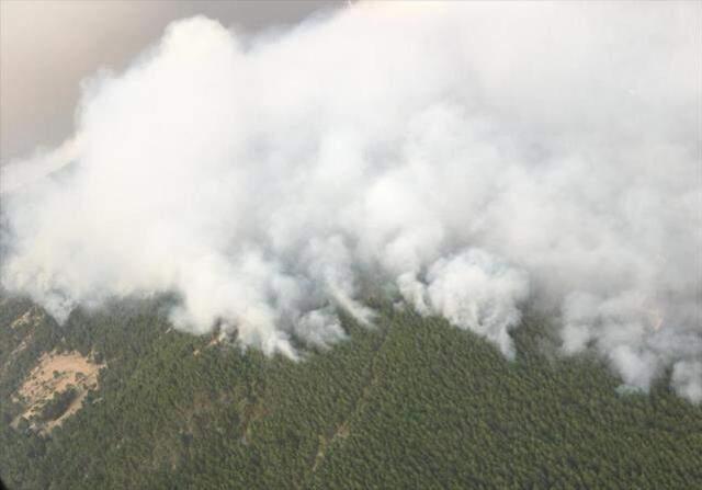 235 yangın kontrol altına alındı, Muğla'da ise alevlerle mücadele ediliyor! İşte son durum