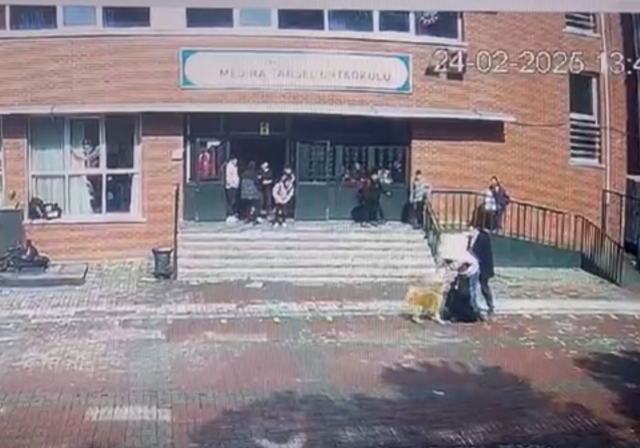 Ümraniye'de Köpek Saldırısı: 5 Öğrenci ve 1 Öğretmen Yaralandı