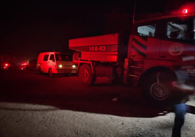Bursa'daki orman yangınında son durum!