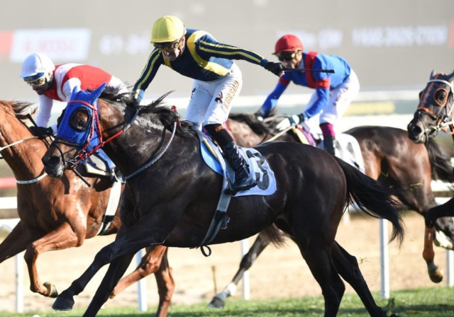 At yarışlarında Cumhuriyet ve Cumhurbaşkanlığı koşuları nefesleri kesti