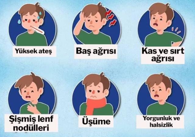 Hastalığın 6 önemli belirtisi var! Maymun çiçeği hızla yayılıyor, tecrit kararı alan ülke bile var