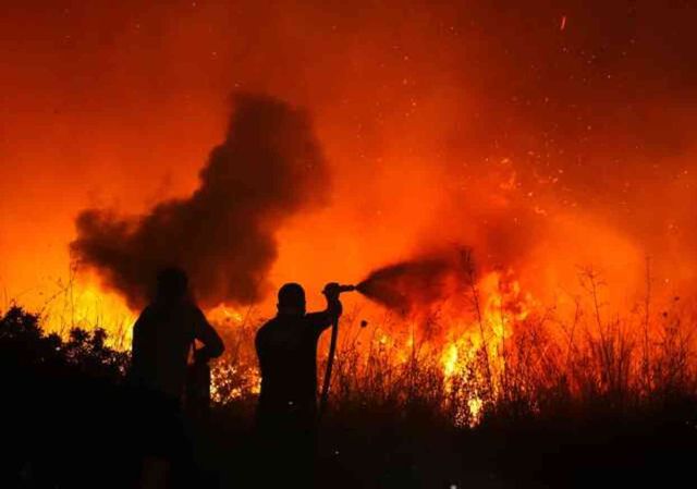 İzmir'in 5 ilçesinde orman yangını! Bakan Yumaklı bölgede