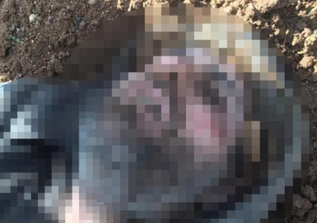 Haberler.com Türkiye ve dünya gündemi: Haberler.com editörleri 1 Mart 2022'deki önemli haberleri sizler için derledi!