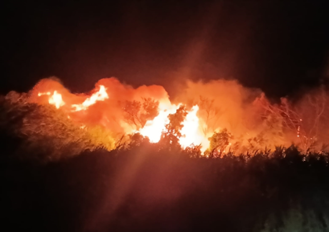 Mersin'deki Göksu Deltası'nda yangın