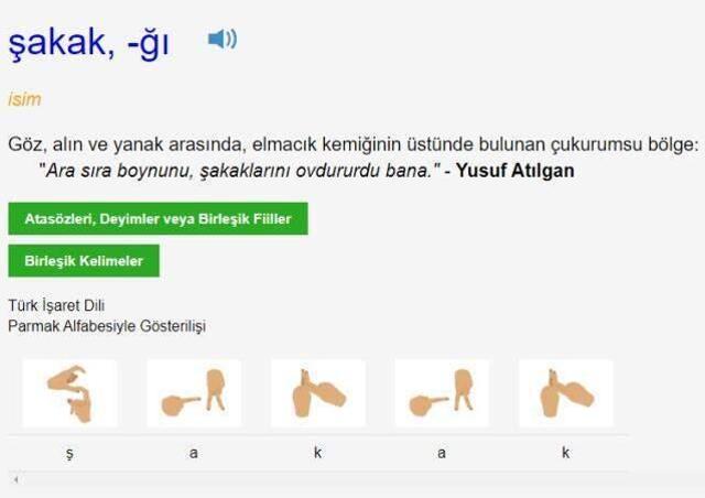 Şakak neresi? Şakak kemiği neresi? Şakak vücudumuzda nerede bulunur? Şakak ne tarafta bulunuyor? Üstte mi altta mı?