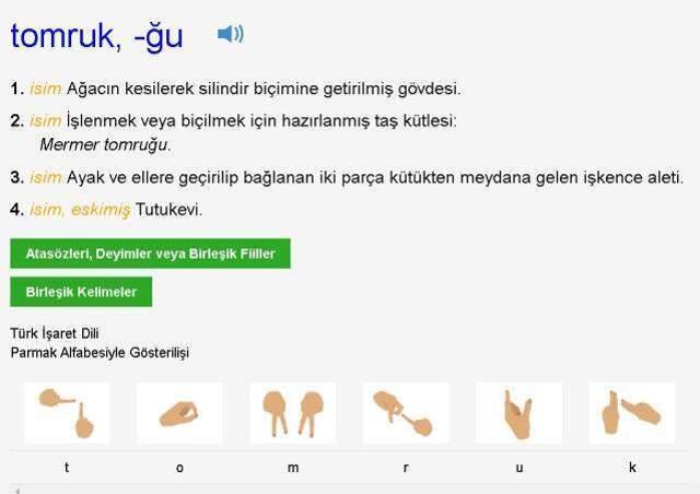 Tomruk ne demek? TDK'ya göre tomruk nedir, ne anlama geliyor? Tomruk kelimesinin anlamı nedir?