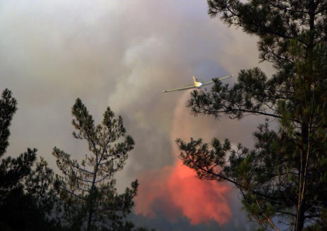 Marmaris'teki orman yangınıyla ilgili Muğla Cumhuriyet Başsavcılığı soruşturma başlattı