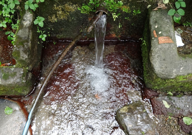 Şişe şişe içiyorlar ama uzman isim uyardı: Sağlık açısından sakınca yaratabilir