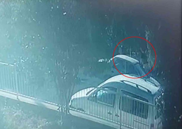 Senem'in katilinin internette cevabını aradığı soru şoke etti: Eşimin kusurlu olması için...